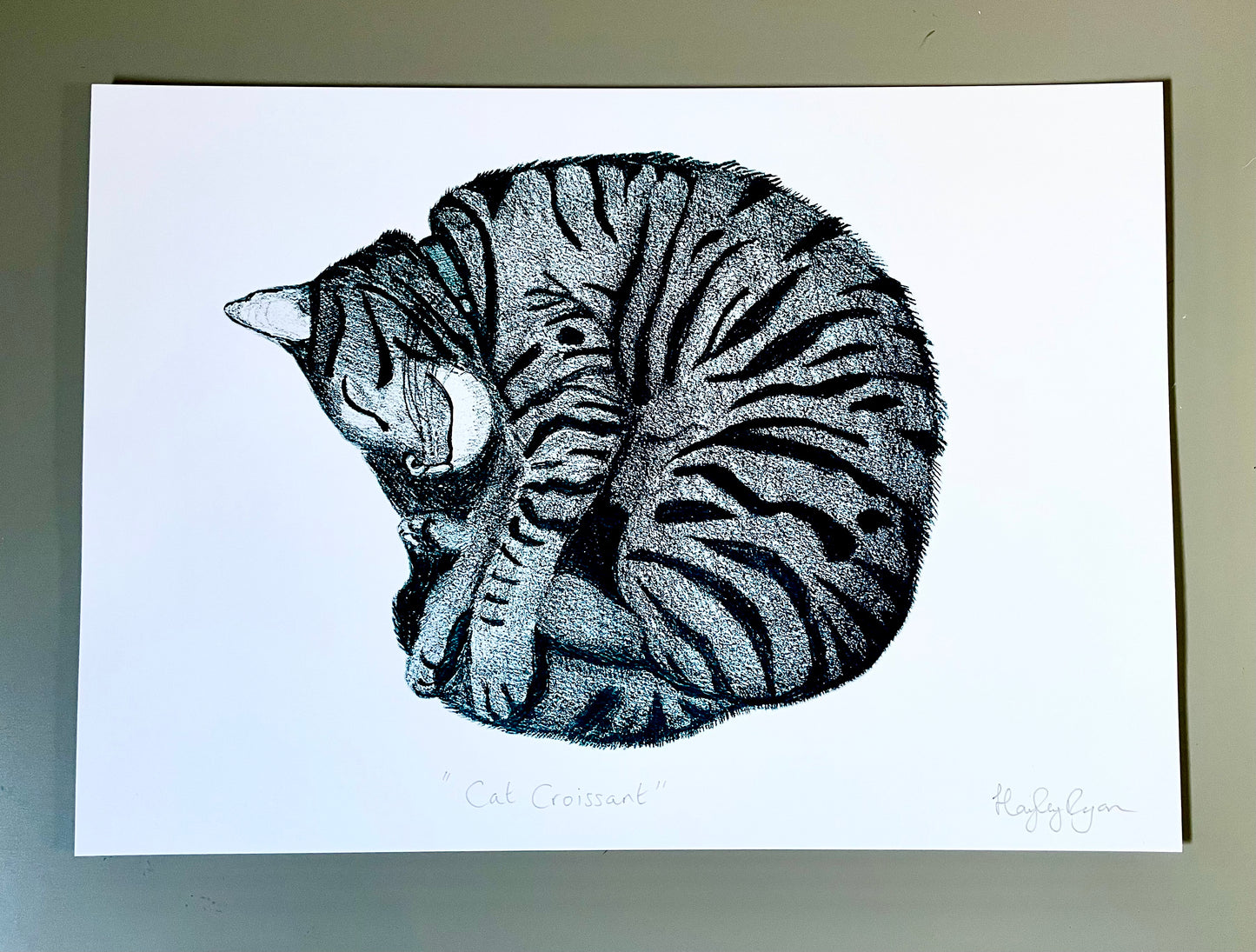 Sleeping Cat -“Cat Croissant “ Pencil Drawing Print