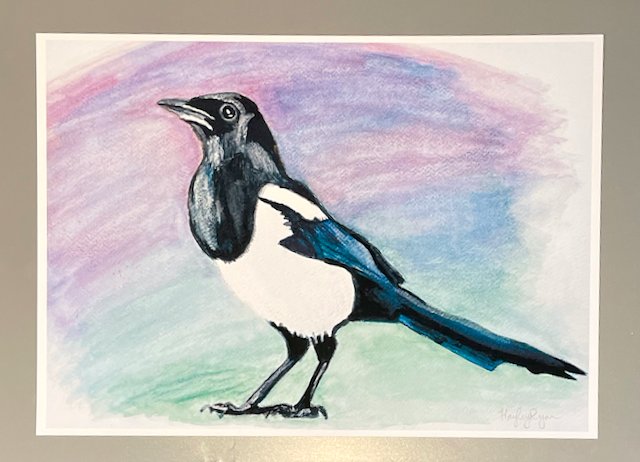 Magpie-Watercolour Print