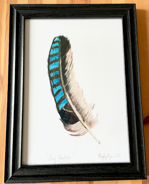 Framed Jay Feather Print
