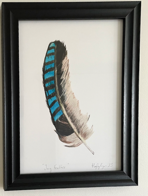 Framed Jay Feather Print