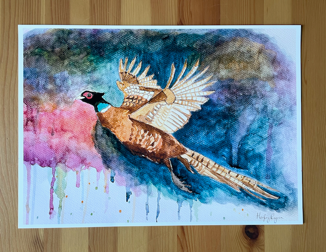 Pheasant Print-Watercolour Print