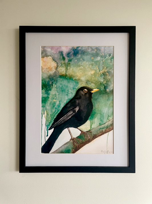 Blackbird Print-Blackbird Watercolour Print