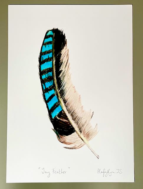 Feather Print-Jay Feather Print