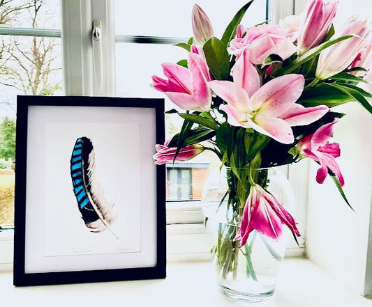 Feather Print-Jay Feather Print